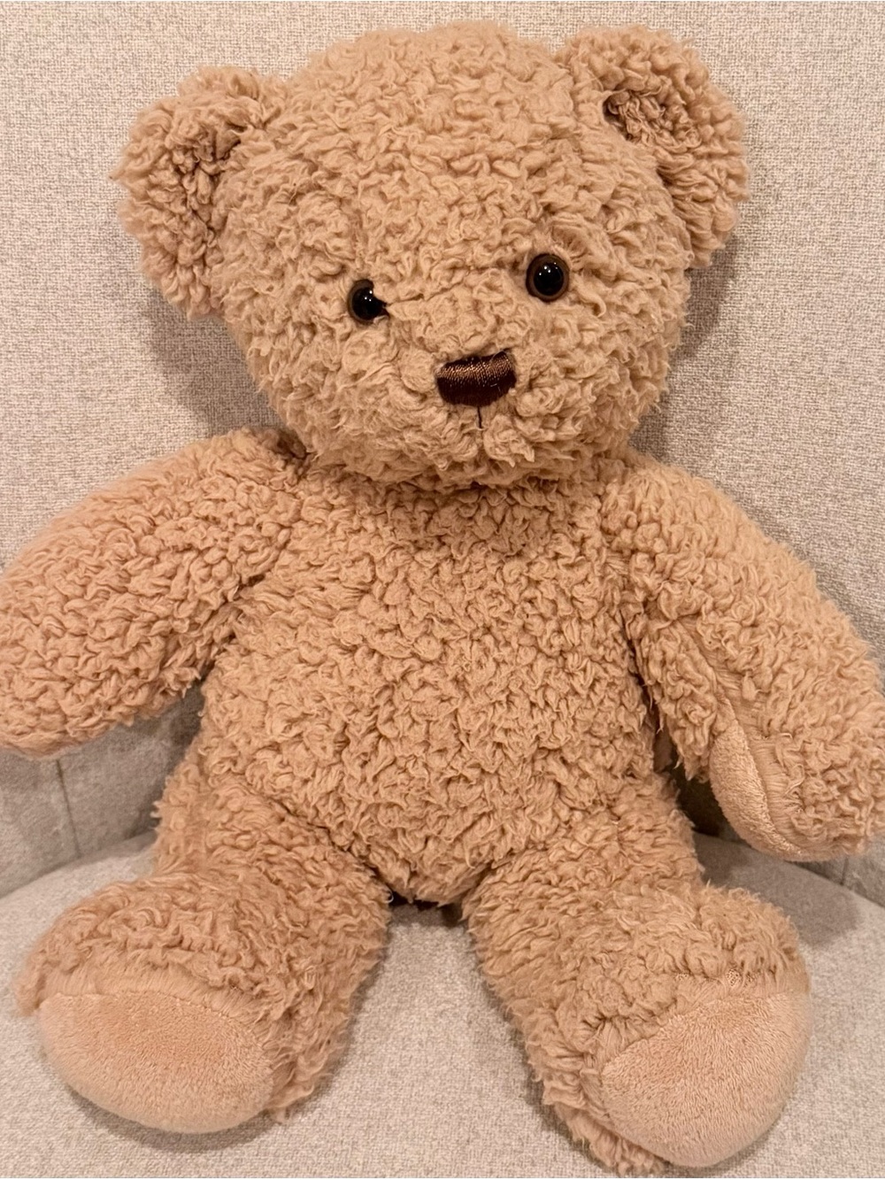 Build-A-Bear Timeless Teddy brown bear